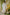 Indian Summer Peach Printed Mul Mul Set of 3 | Ray-ethnic