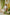 Indian Summer Peach Printed Mul Mul Set of 3 | Ray-ethnic