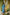 Indian Summer Blue Kota Kurta | Ray-ethnic