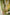 Indian Summer Green Kota Kurta | Ray-ethnic