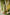 Indian Summer Green Kota Kurta | Ray-ethnic