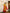 Taara Pure Silk Banarasi Kadwa Kurta Set in Mustard Yellow