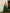 Taara Mashru Muga Silk Three-Piece Kurta Set in Green