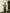 Taara Mashru Muga Silk Three-Piece Kurta Set in Green