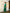 Taara Mashru Muga Silk Three-Piece Kurta Set in Green