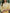 Taara Pure Silk Sleeveless Kurta Set in Lemon Yellow with Ombre Dupatta
