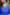 Taara Pure Silk Kurta Set in Royal Blue with Banarasi Dupatta