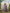 Taara Pure Silk Shibori Kurta Set of three in Lavender