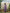 Taara Pure Silk Shibori Kurta Set of three in Lavender