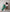 Turquoise Blue Airy Cotton Straight Trousers for Women | Ray Ethnic