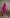 Raysham Rani Pink Bandhani Tusser Silk Set of 3 | Ray-ethnic