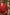 Sitara Red Ikkat Silk Kurta Bottom Set | Ray-ethnic