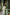 Sitara Green Silk Tissue Cotton Kurta | Ray-ethnic
