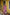 Sitara Pink Block Print Munga Silk Kurta Bottom Dupatta Set | Ray-ethnic