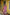Sitara Pink Block Print Munga Silk Kurta Bottom Dupatta Set | Ray-ethnic