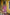 Sitara Pink Block Print Munga Silk Kurta Bottom Dupatta Set | Ray-ethnic