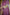 Sitara Pink Block Print Munga Silk Kurta Bottom Dupatta Set | Ray-ethnic